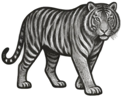 Gravura: tigre, grupo 22